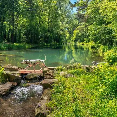 B&B Treffpunkt Heuwiese