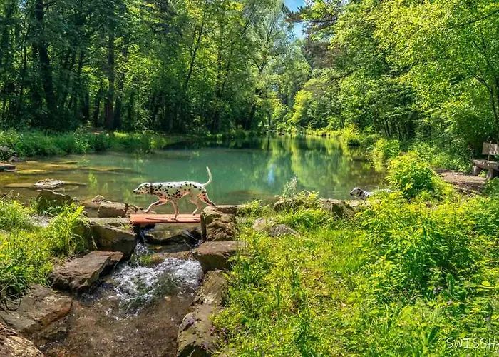 לינה וארוחת בוקר Treffpunkt Heuwiese