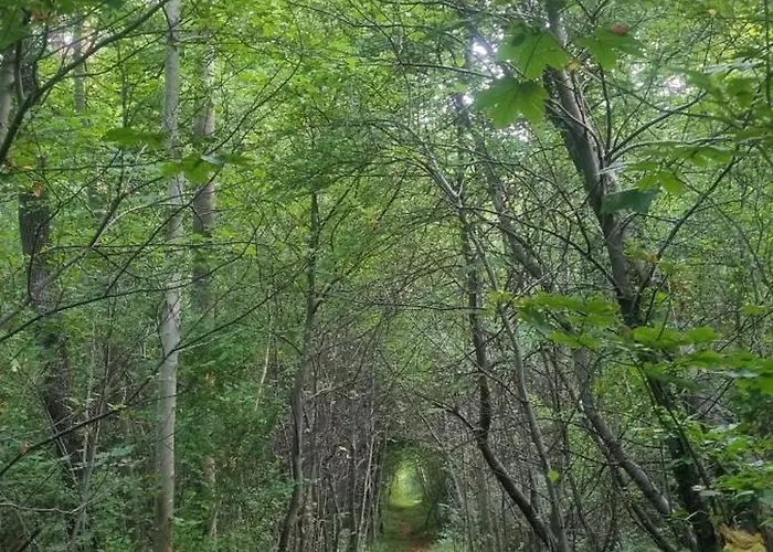 Treffpunkt Heuwiese לינה וארוחת בוקר 3*