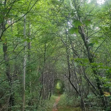 Treffpunkt Heuwiese Bed and breakfast 3*