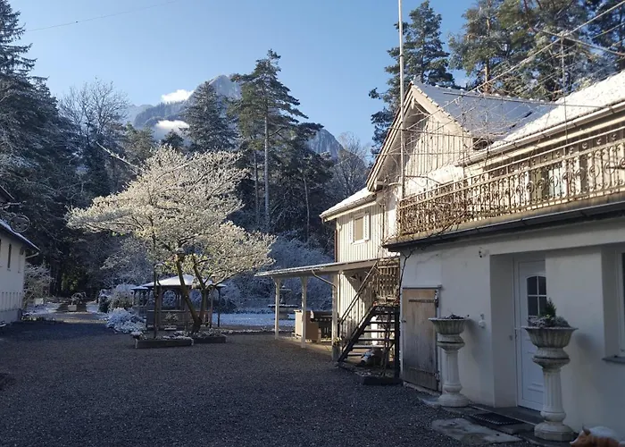 Couette-café Treffpunkt Heuwiese 3*