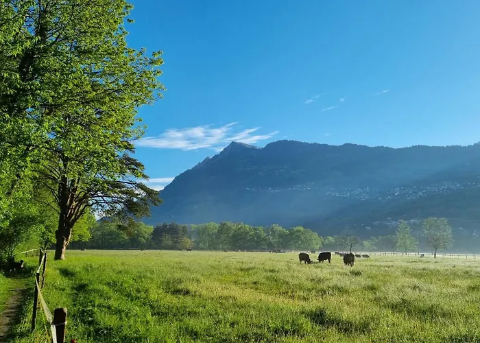 Couette-café Treffpunkt Heuwiese Weite